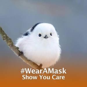 Meet your Posher, Sue